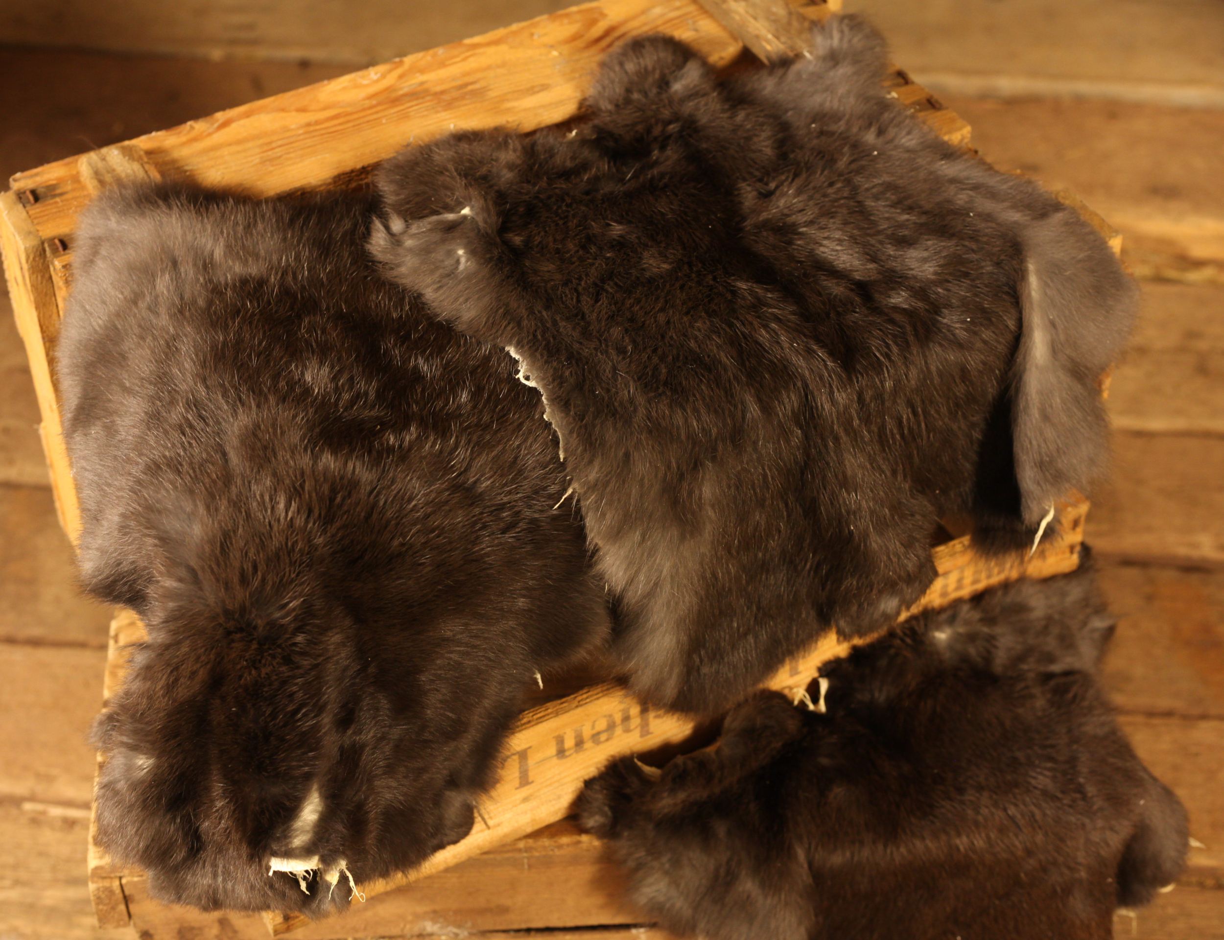 Kaninchenfell, dunkel