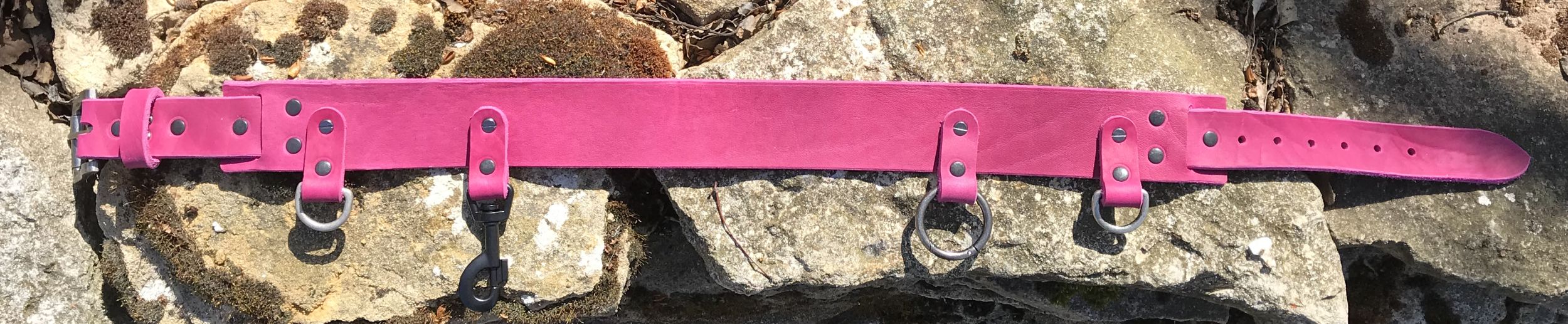 Gassigürtel - Canicross Gürtel aus Leder